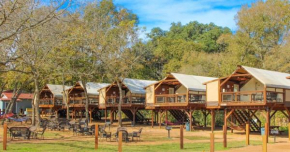 Safari Cabin #2